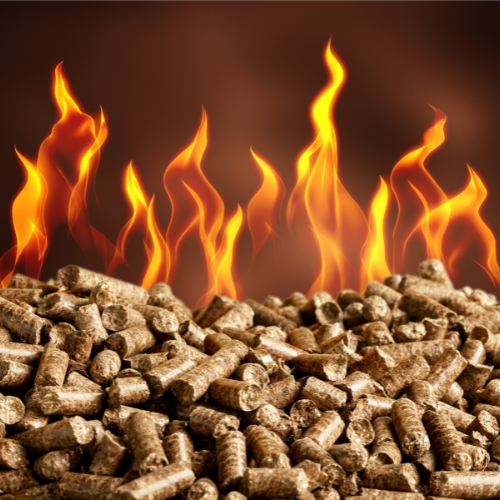 Bio Briquettes